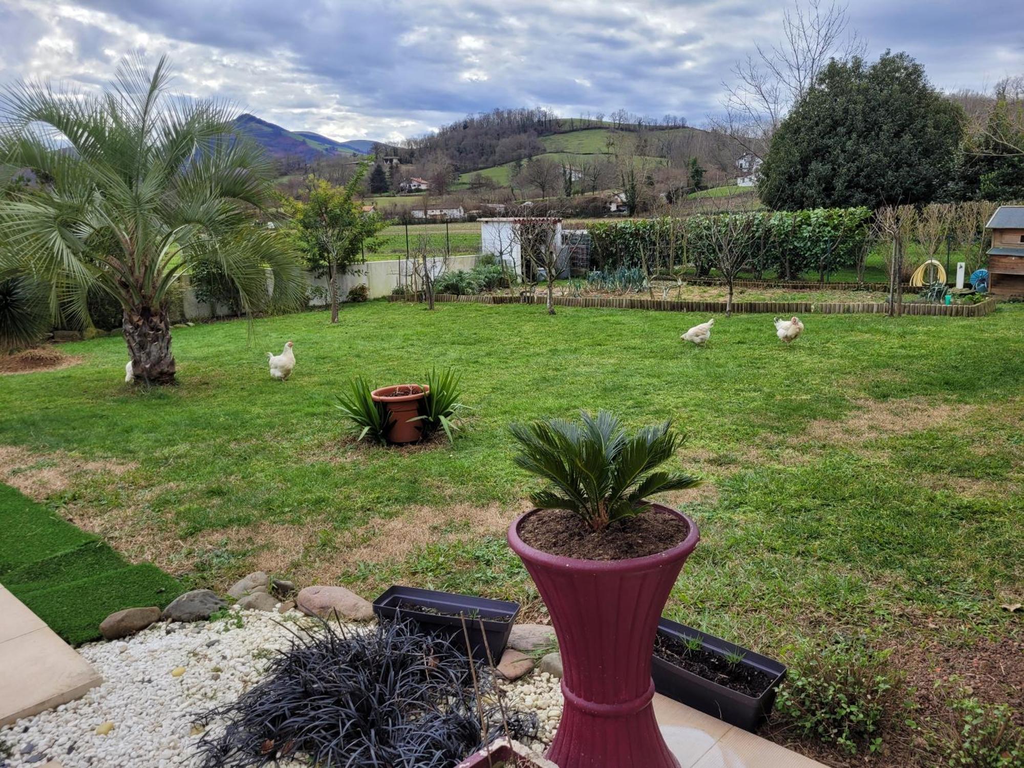 Gites Vue Montagne St Jean Pied De Port Pays Basque سان جان بييه دو بور المظهر الخارجي الصورة